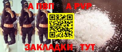 гашик Тверь