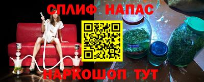 гашик Тверь