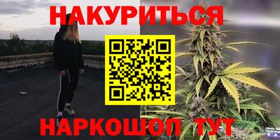 гашик Тверь