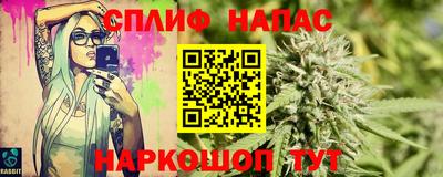 гашик Тверь